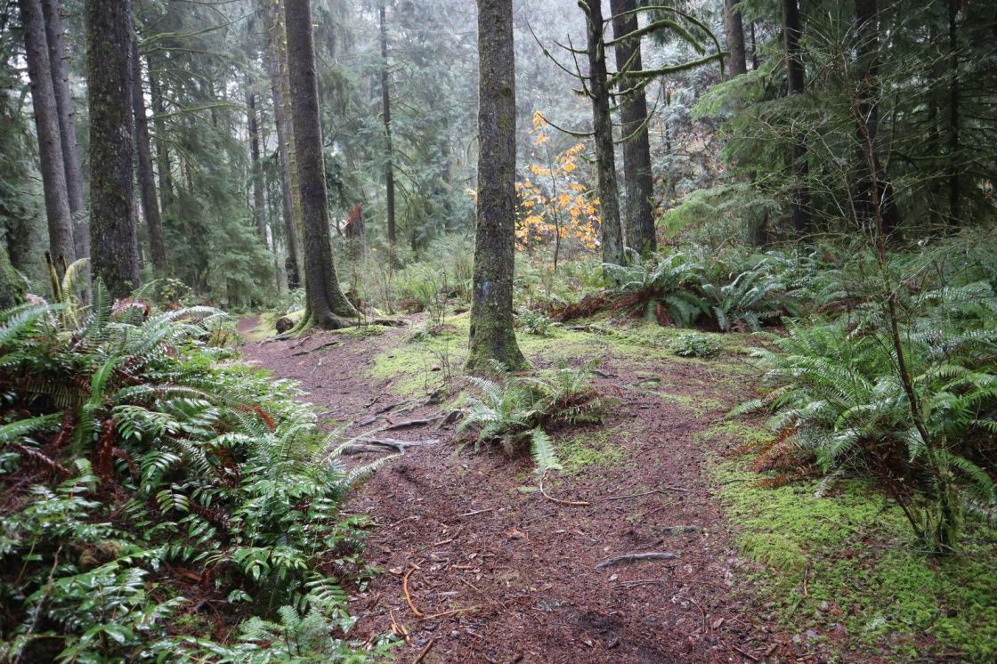 Nuu-chah-nulth Tribal Council, BC